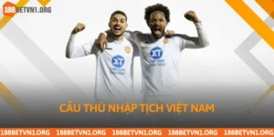 Danh Sách Cầu Thủ Nhập Tịch Việt Nam Và Phân Tích Chuyên Sâu
